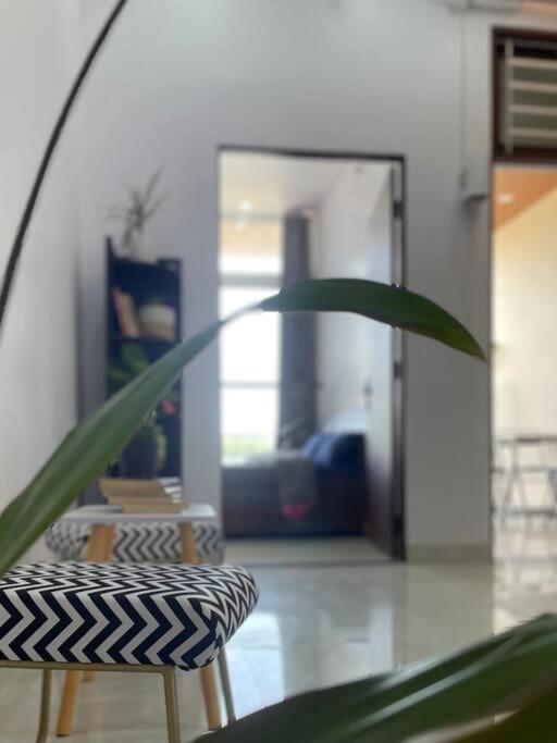 Bark & Bash-Villa-House Jaipur Luaran gambar